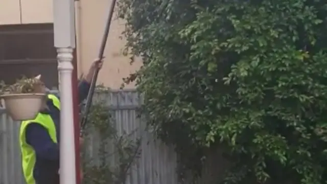 Adelaide Tree Removals - Stump & Tree Removal Services cover