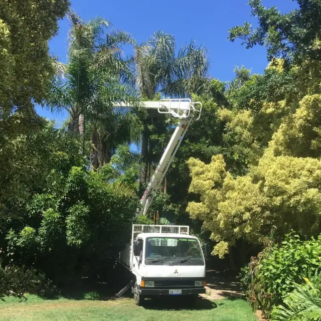 Aerial Trees Group Pty Ltd