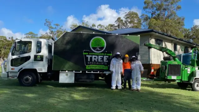 Affordable Tree Specialists