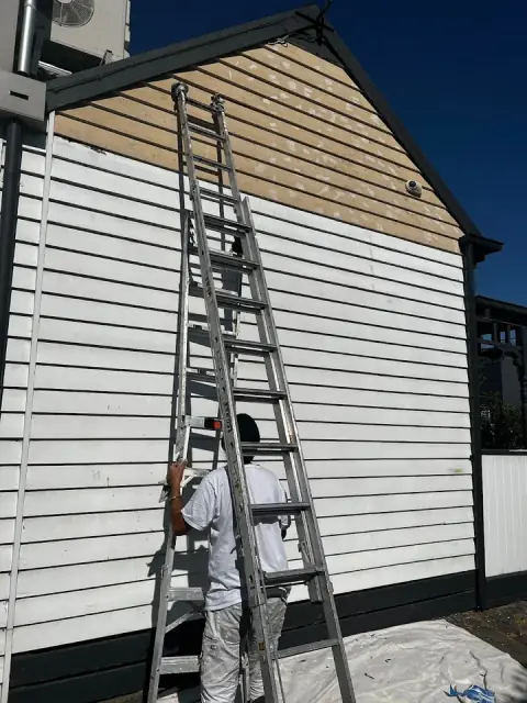AG PAINTING & PLASTERING REPAIR SERVICES