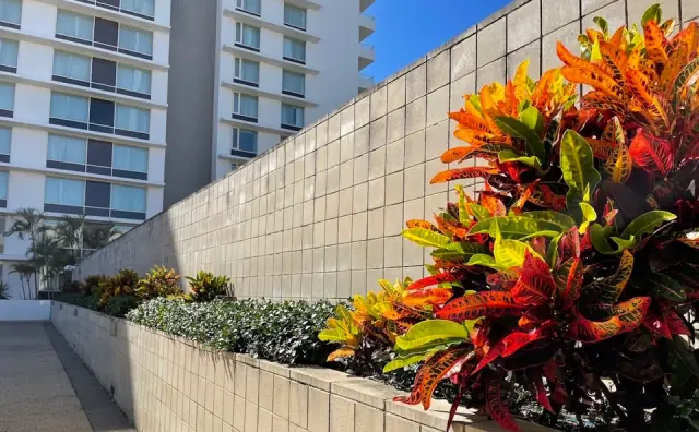 AHI Gardens cover