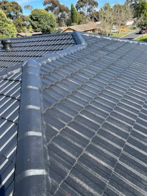 Ahu Roof Restoration Cleaning Painting Flexible Repointing Guttering replacement
