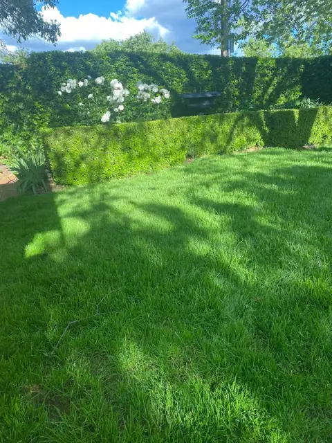 Akers of Lawn