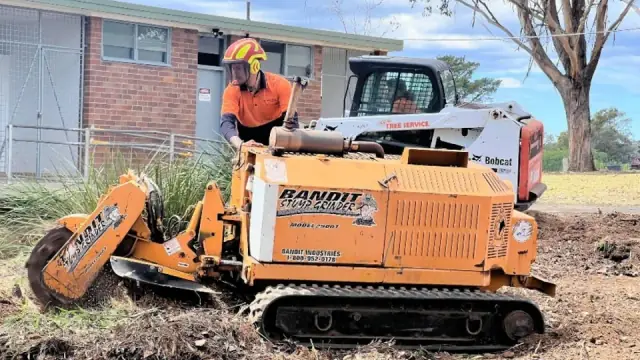 Al's Tree Service