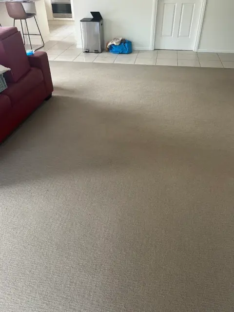 Aldonga Carpet Care