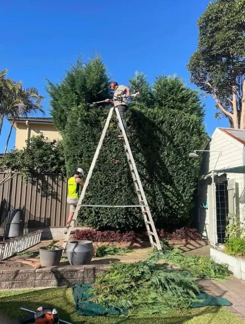 All Aspects Landscapes