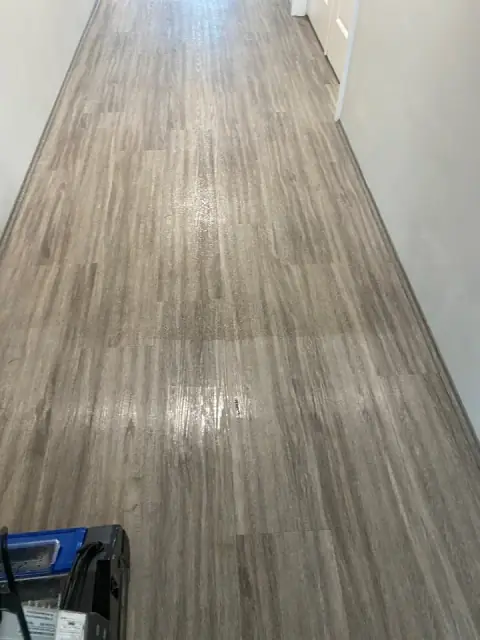 All Carpet Cleaning Solutions cover