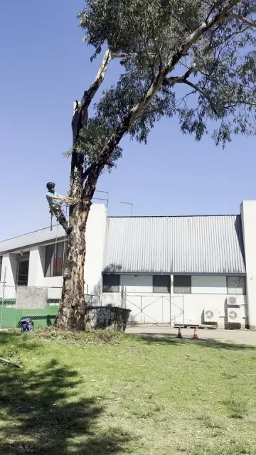 All Hills Fencing cover