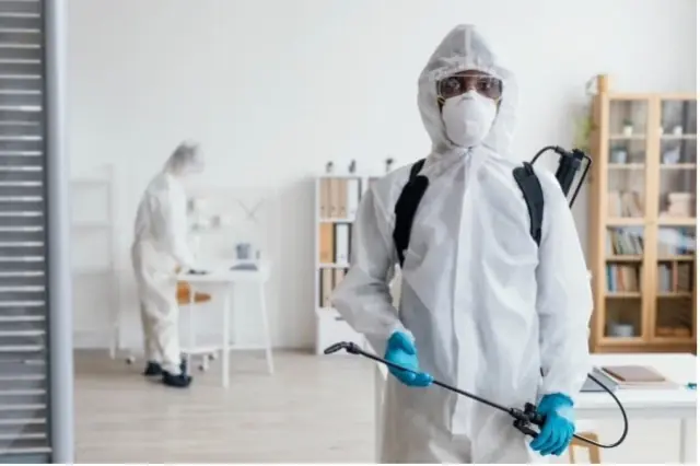 All In One Pest Control & Termites