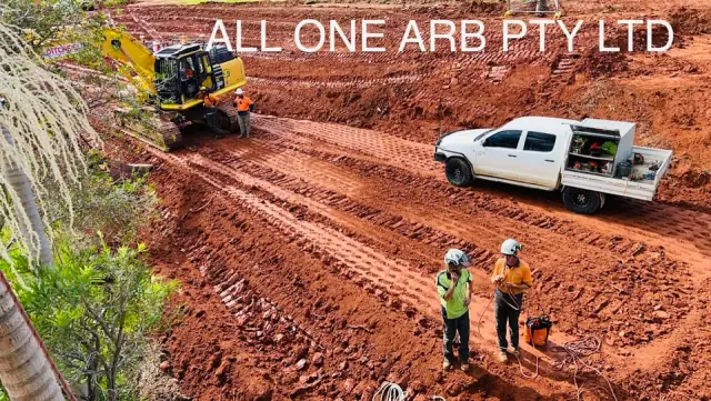 All One Arb Tree Service