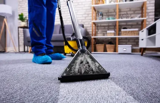 All Property Perth | Pest Control, Garden Clean Ups & Vacate Cleans cover