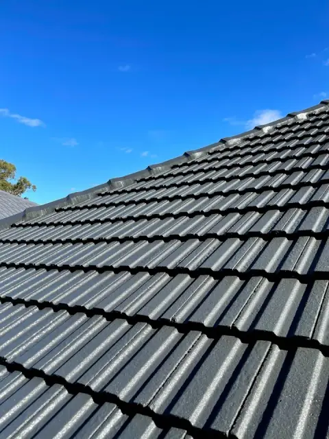 All Roofs Painted cover