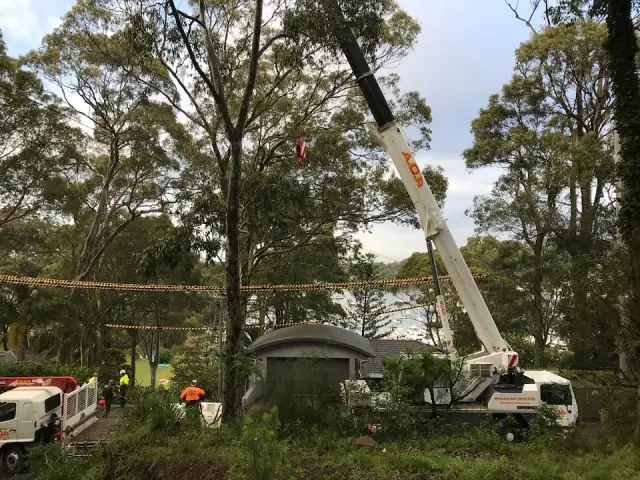 All Tree Care