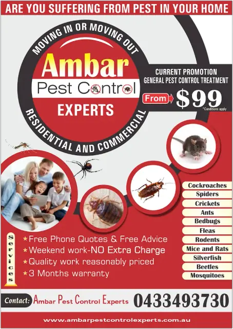 Ambar Pest Control Experts cover