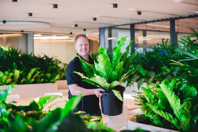 Ambius Indoor Plants Adelaide cover