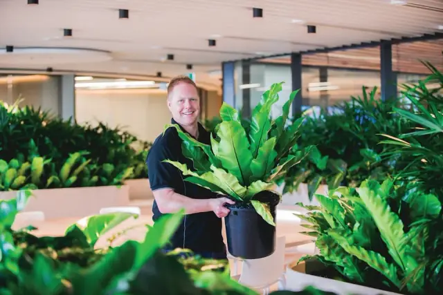 Ambius Indoor Plants Canberra cover