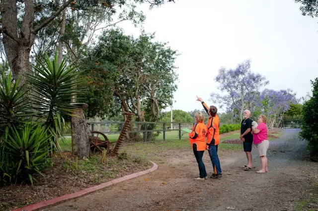 ANC Tree services