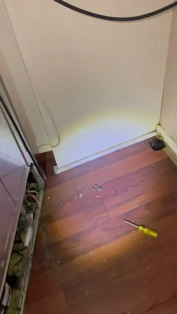 Ant Hill Pest Control cover