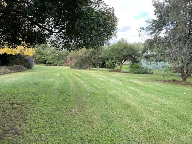 Ants In The Garden