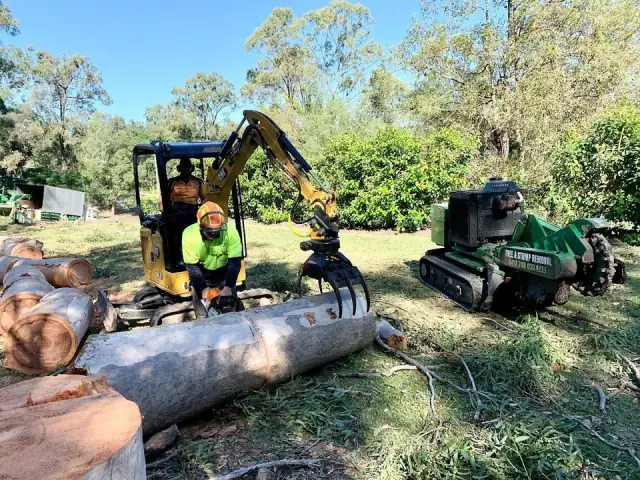 Apex Tree Services cover