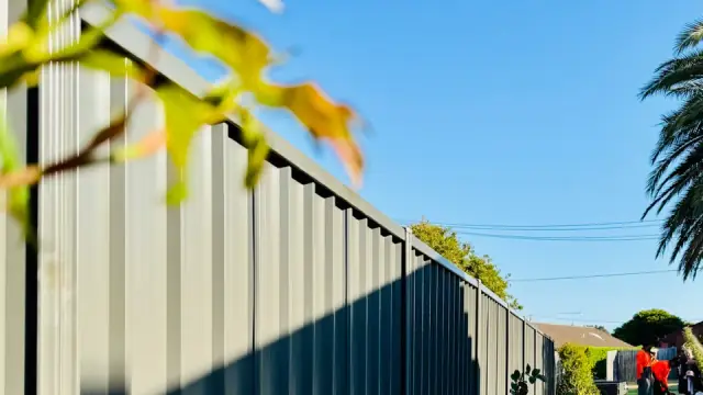 APS Pro Fencing
