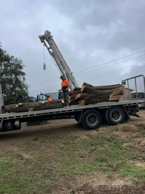 Arbmac Tree Services cover