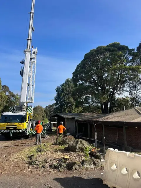Arbmac Tree Services cover