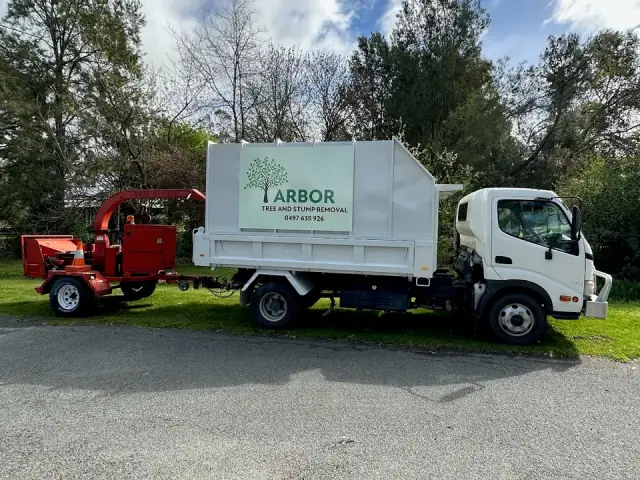 Arbor Tree and Stump Removal