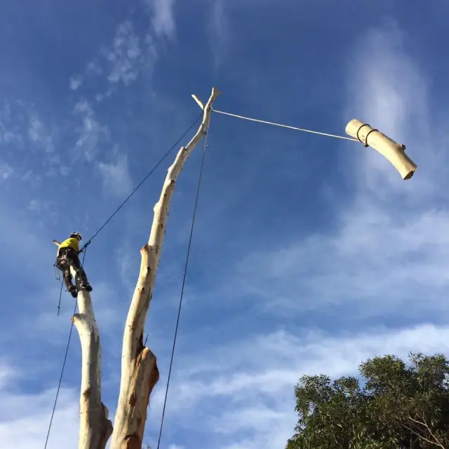 ArborCo