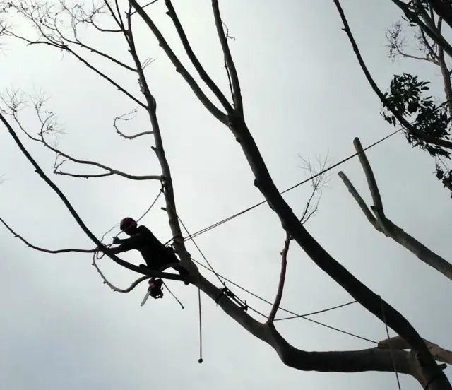 ArborComm cover