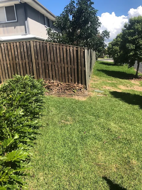 Arborist Tree Techs cover