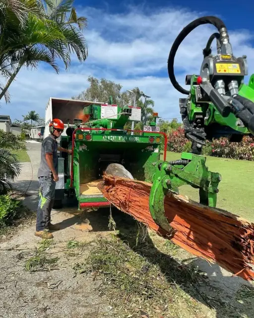 Arborsafe Tree Services cover