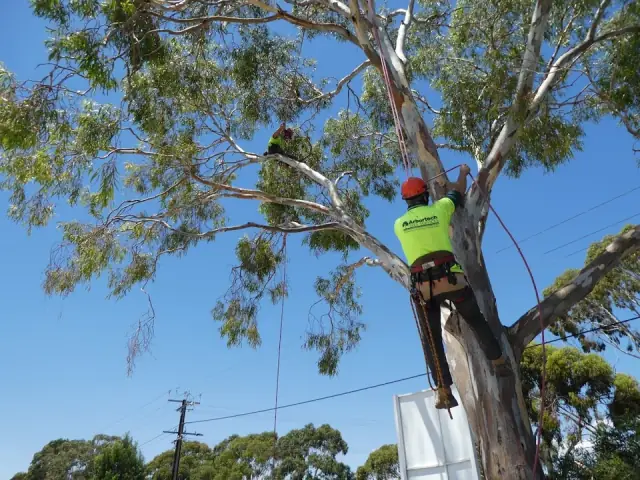 Arbortech Tree Services cover