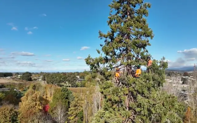 Arbscape Tasmania