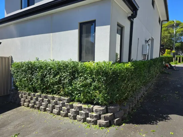 ASET Tree Removal & Garden Rejuvenation