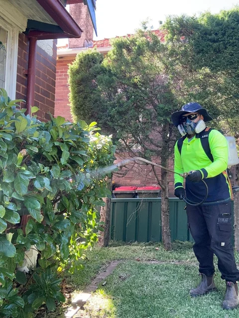 ASL Pest Control