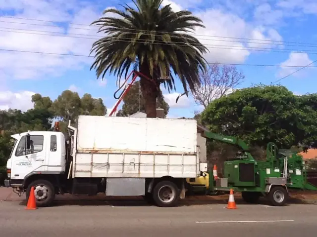 Assured Tree Services cover