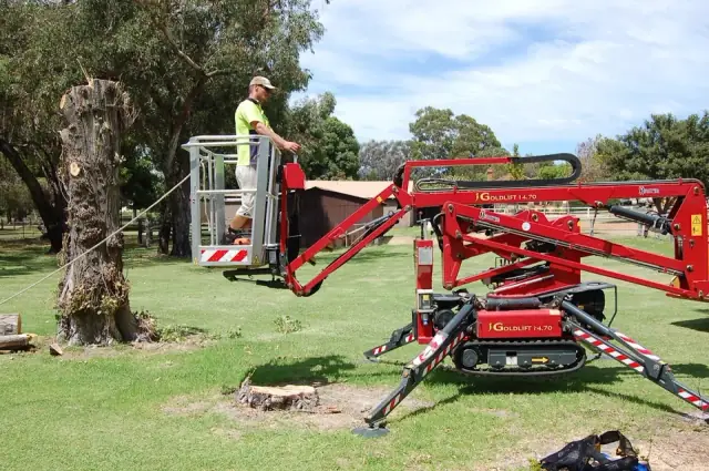 Assured Tree Services