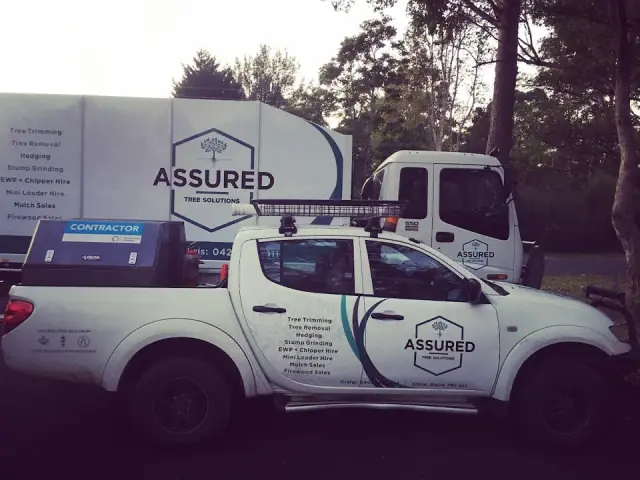 Assured Tree Solutions