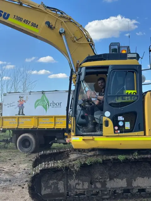 Aus Arbor Tree Services cover