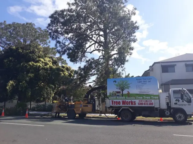 Aussie Tree Care