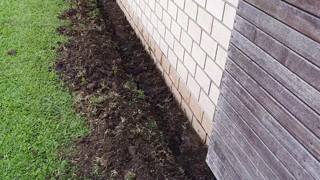 Auswise Pest Control cover