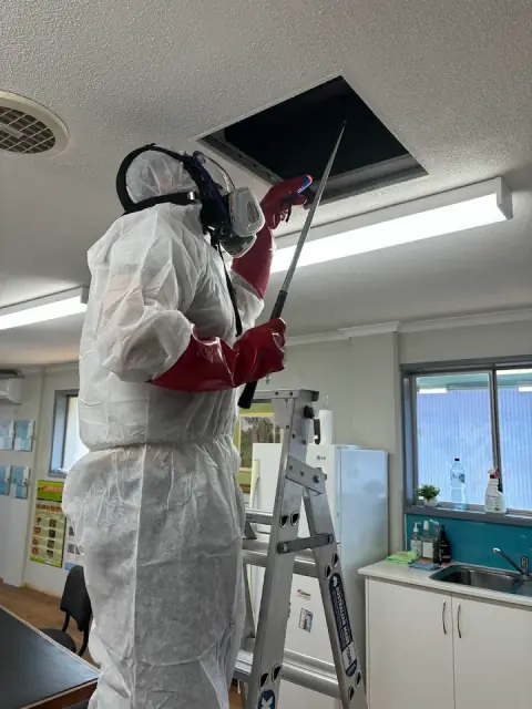 Auzzie Pest Control Brisbane cover