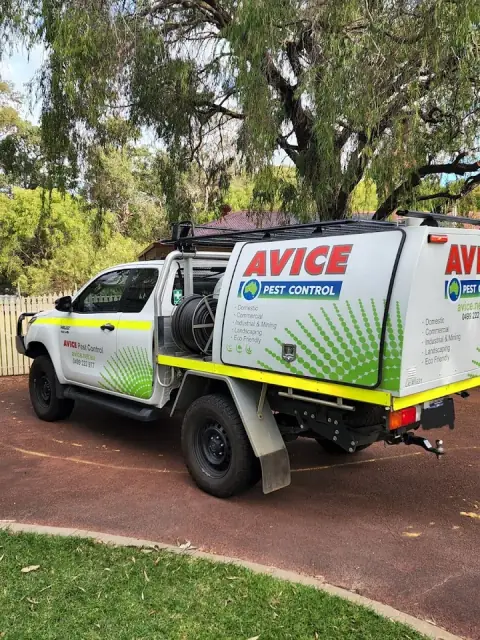 Avice Pest Control
