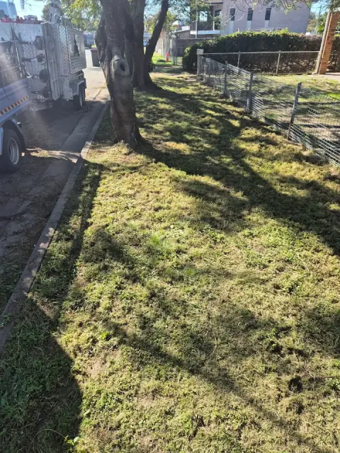 B&M Northside Stump Grinding Services