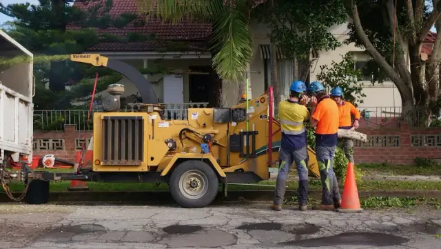 Balanced Tree Care cover