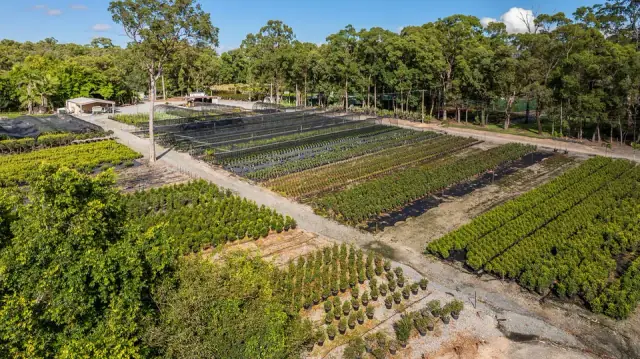 Barellan Nursery, Design & Landscaping