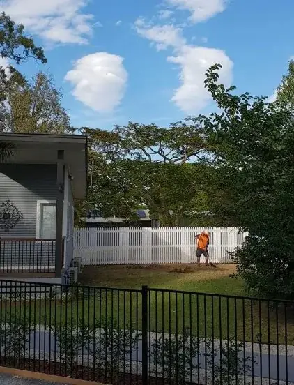 Barlows Tree Services