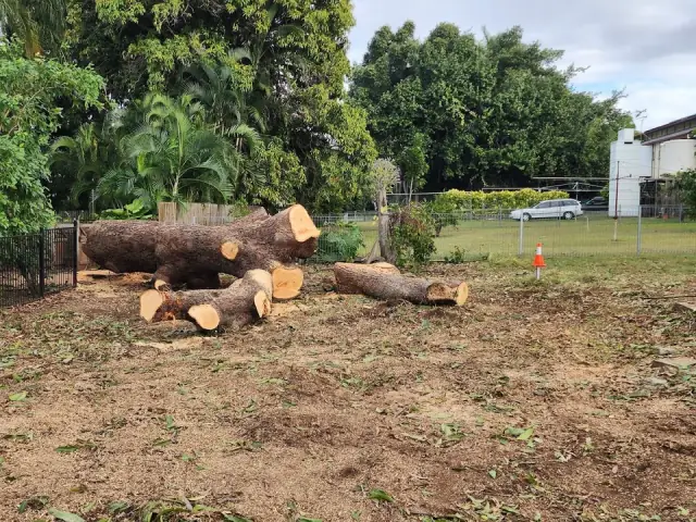 Barlows Tree Services cover