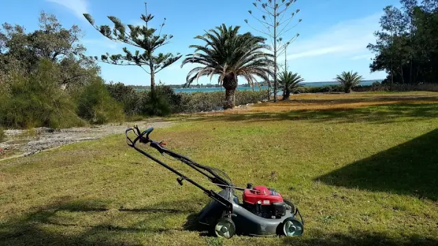 Bays Landscape and Property Maintenance cover